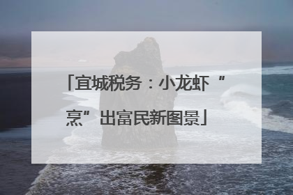 宜城税务：小龙虾“烹”出富民新图景