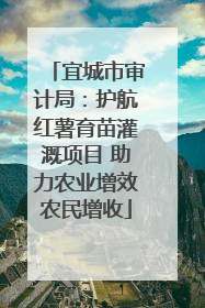 宜城市审计局：护航红薯育苗灌溉项目 助力农业增效农民增收