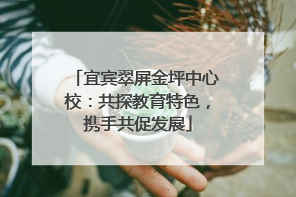 宜宾翠屏金坪中心校：共探教育特色，携手共促发展