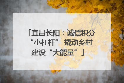 宜昌长阳：诚信积分“小杠杆” 撬动乡村建设“大能量”