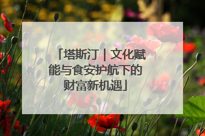 塔斯汀｜文化赋能与食安护航下的财富新机遇