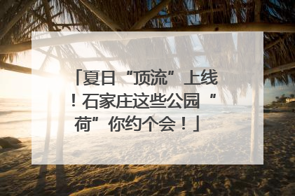 夏日“顶流”上线！石家庄这些公园“荷”你约个会！