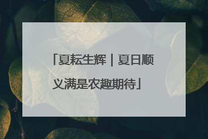 夏耘生辉｜夏日顺义满是农趣期待