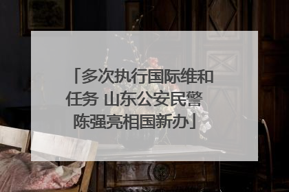 多次执行国际维和任务 山东公安民警陈强亮相国新办