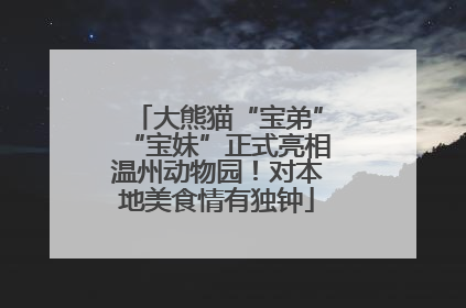 大熊猫“宝弟”“宝妹”正式亮相温州动物园！对本地美食情有独钟