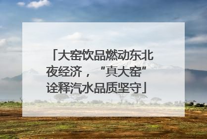 大窑饮品燃动东北夜经济，“真大窑”诠释汽水品质坚守