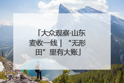 大众观察·山东麦收一线｜“无形田”里有大账