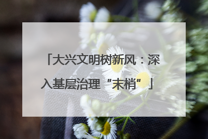 大兴文明树新风：深入基层治理“末梢”