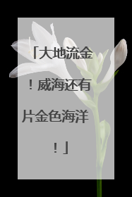 大地流金！威海还有片金色海洋！