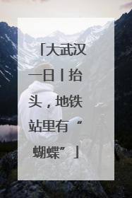 大武汉一日丨抬头，地铁站里有“蝴蝶”