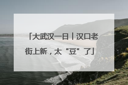 大武汉一日︱汉口老街上新，太“豆”了