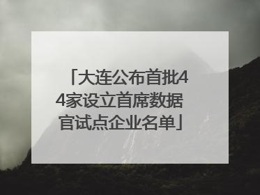 大连公布首批44家设立首席数据官试点企业名单