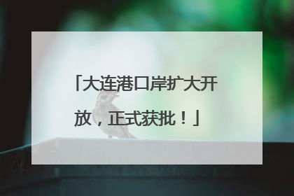 大连港口岸扩大开放，正式获批！