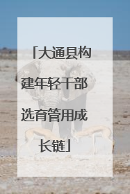 大通县构建年轻干部选育管用成长链