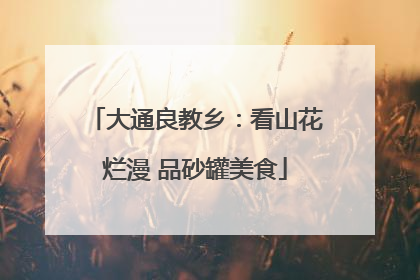大通良教乡：看山花烂漫 品砂罐美食
