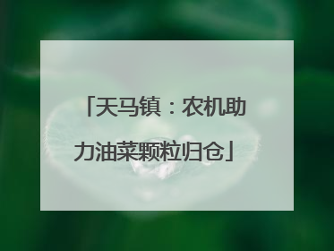 天马镇：农机助力油菜颗粒归仓