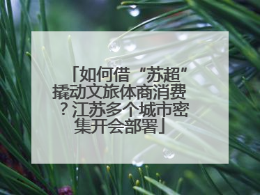 如何借“苏超”撬动文旅体商消费？江苏多个城市密集开会部署
