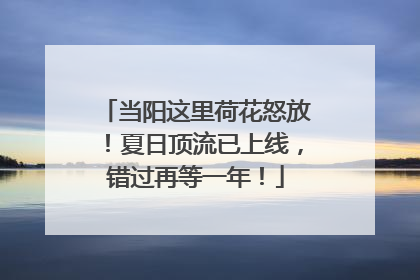 当阳这里荷花怒放！夏日顶流已上线，错过再等一年！
