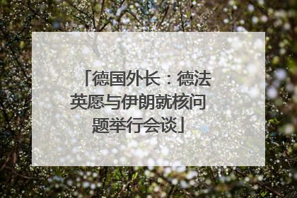 德国外长：德法英愿与伊朗就核问题举行会谈