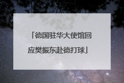 德国驻华大使馆回应樊振东赴德打球