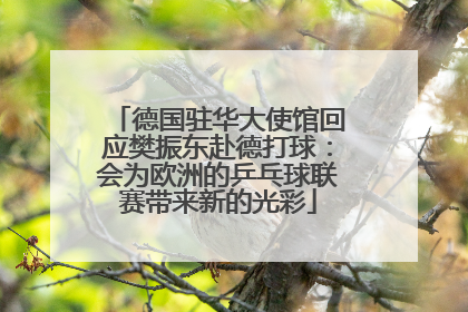 德国驻华大使馆回应樊振东赴德打球：会为欧洲的乒乓球联赛带来新的光彩