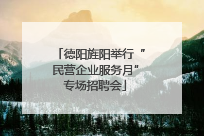 德阳旌阳举行“民营企业服务月”专场招聘会