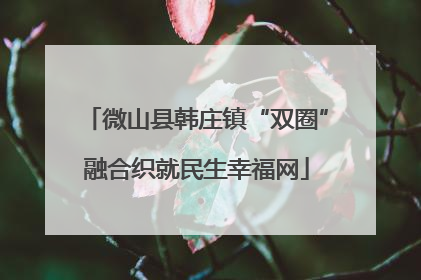 微山县韩庄镇“双圈”融合织就民生幸福网