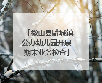 微山县驩城镇公办幼儿园开展期末业务检查