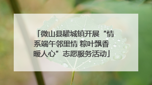 微山县驩城镇开展“情系端午邻里情 粽叶飘香暖人心”志愿服务活动