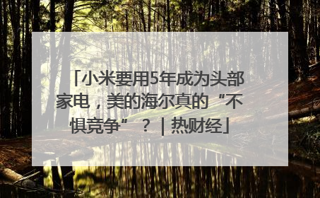 小米要用5年成为头部家电，美的海尔真的“不惧竞争”？｜热财经