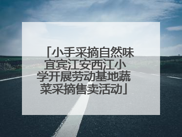 小手采摘自然味 宜宾江安西江小学开展劳动基地蔬菜采摘售卖活动