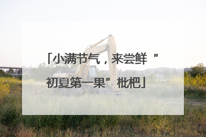 小满节气，来尝鲜“初夏第一果”枇杷