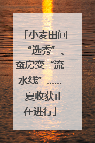 小麦田间“选秀”、蚕房变“流水线”……三夏收获正在进行