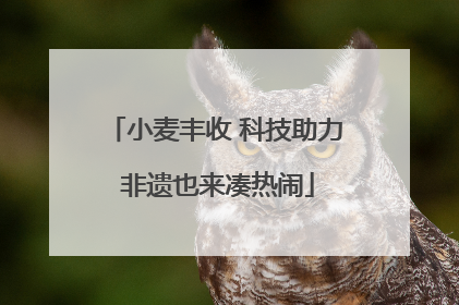 小麦丰收 科技助力 非遗也来凑热闹