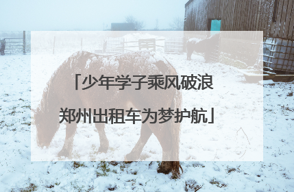 少年学子乘风破浪 郑州出租车为梦护航