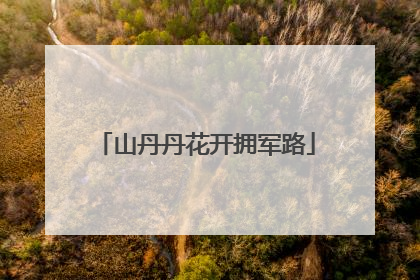 山丹丹花开拥军路