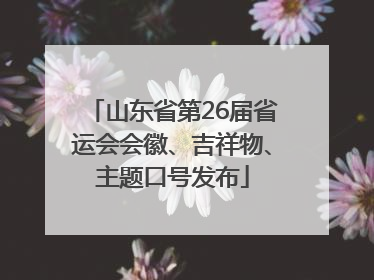 山东省第26届省运会会徽、吉祥物、主题口号发布