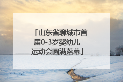 山东省聊城市首届0-3岁婴幼儿运动会圆满落幕