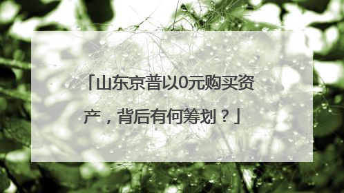山东京普以0元购买资产，背后有何筹划？