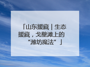 山东援藏｜生态援藏，戈壁滩上的“潍坊魔法”