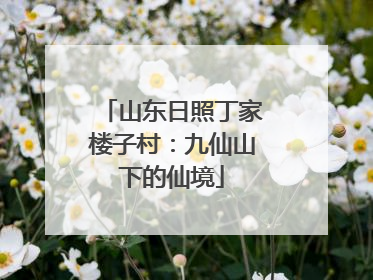 山东日照丁家楼子村：九仙山下的仙境