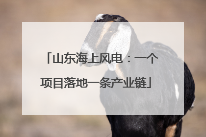 山东海上风电：一个项目落地一条产业链