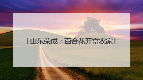 山东荣成：百合花开富农家