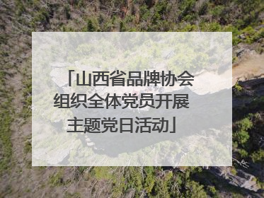 山西省品牌协会组织全体党员开展主题党日活动