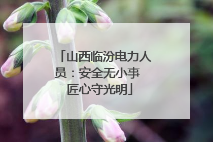 山西临汾电力人员：安全无小事 匠心守光明