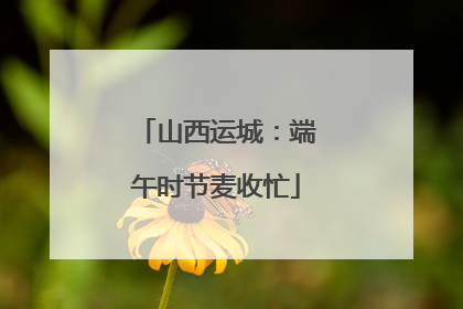 山西运城：端午时节麦收忙