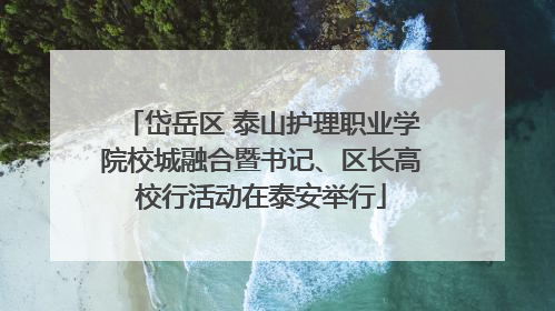 岱岳区 泰山护理职业学院校城融合暨书记、区长高校行活动在泰安举行