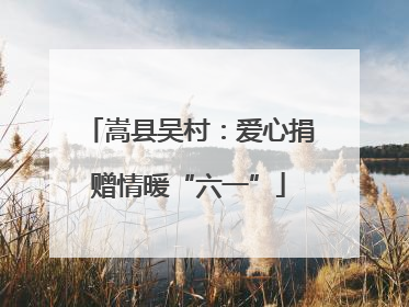 嵩县吴村：爱心捐赠情暖“六一”