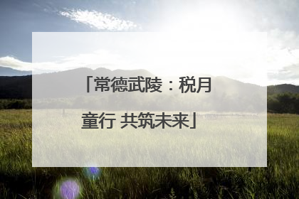 常德武陵：税月童行 共筑未来