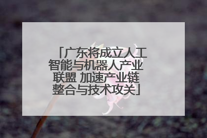 广东将成立人工智能与机器人产业联盟 加速产业链整合与技术攻关